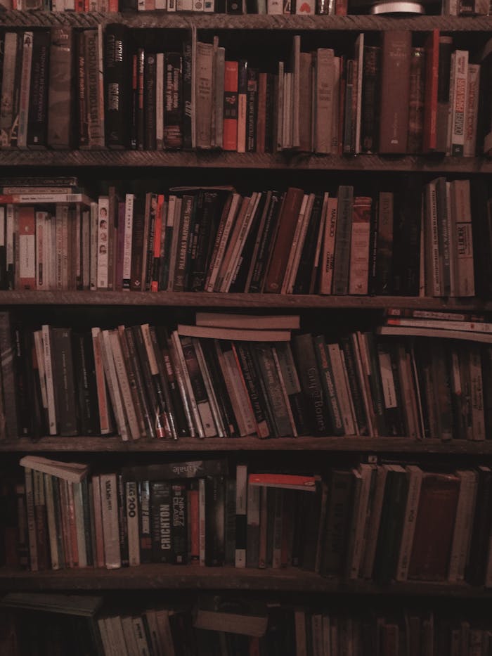 A warmly lit bookshelf filled with assorted books in a San Luis Potosí library.